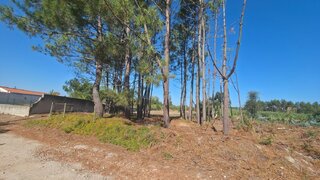 Terreno · 4448 m² · 55 000 €