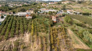 Land for sale in Alcobaça, Portugal — €70,000
