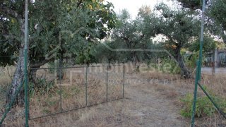 Land for sale in Castelo Branco, Portugal — €18,000