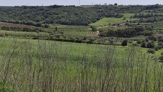 Land for sale in Rio Maior, Portugal — €75,000