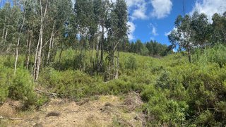 Land for sale in Mação, Portugal — €2,200