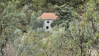 Terreno para venda em Proença-a-Nova, Portugal — 22 000 €