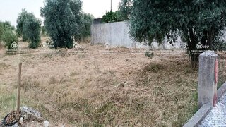 Land for sale in Alcanena, Portugal — €50,000