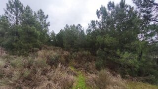 Land for sale in Fundão, Portugal — €25,000