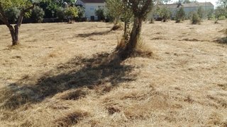 Land for sale in Alvaiázere, Portugal — €40,000