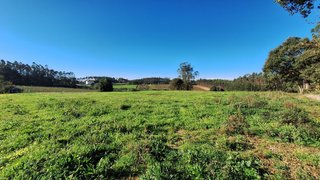 Land for sale in Alcobaça, Portugal — €150,000