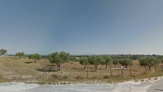 Terreno de 160 000 m² em Castelo Branco