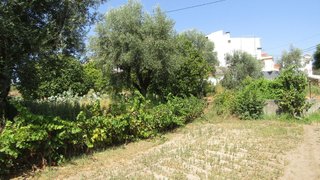 Land for sale in Sardoal, Portugal — €23,000