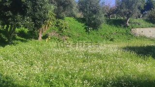 Land for sale in Fundão, Portugal — €17,500