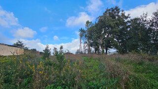 Land for sale in Alcobaça, Portugal — €44,900