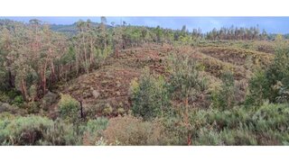 Land for sale in Mação, Portugal — €3,650