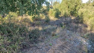 Land for sale in Vila de Rei, Portugal — €8,700