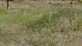 Land for sale in Tomar, Portugal — €85,000