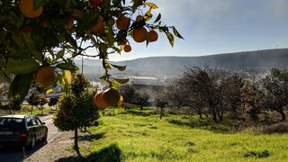 Land for sale in Alvaiázere, Portugal — €19,995