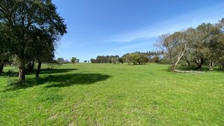 Terreno de 170 000 m² em Leiria
