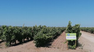 Land for sale in Abrantes, Portugal — €385,000
