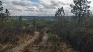 Terreno para venda em Castelo Branco, Portugal — 60 000 €
