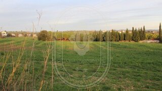 Land for sale in Tomar, Portugal — €70,000