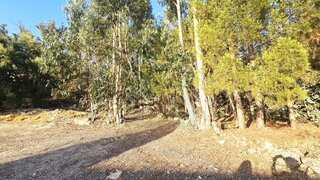 Terreno de 4308 m² em Castelo Branco