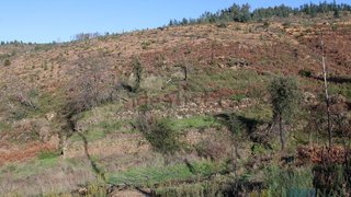 Land for sale in Oleiros, Portugal — €37,500