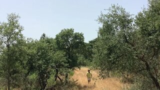 Land for sale in Abrantes, Portugal — €59,800