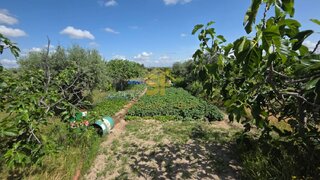 Terreno de 8300 m² em Castelo Branco