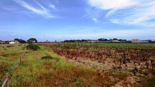 Land for sale in Benavente, Portugal — €195,000