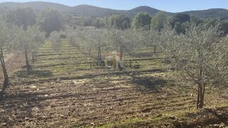 Land for sale in Penamacor, Portugal — €16,500