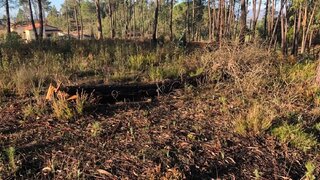 Land for sale in Tomar, Portugal — €25,000