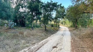 Terreno de 13 000 m² em Leiria