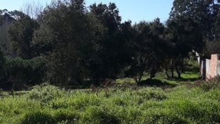 Land for sale in Marinha Grande, Portugal — €42,500