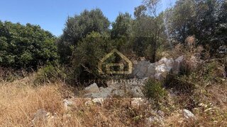 Terreno em Santarém · 568 m² · 30 000 €