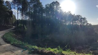 Terreno para venda em Alcobaça, Portugal — 175 000 €