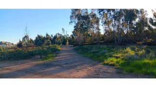 Land for sale in Mação, Portugal — €3,500