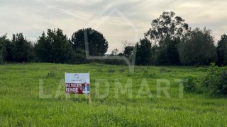 Land for sale in Alcobaça, Portugal — €65,000