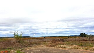 Terreno em Golegã