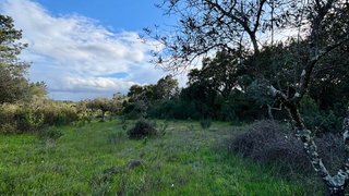 Land for sale in Vila Velha de Ródão, Portugal — €12,000