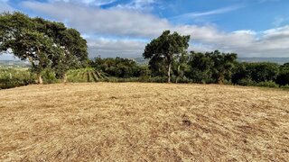 Land for sale in Alcobaça, Portugal — €55,000