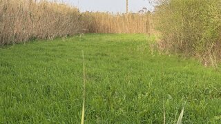 Land for sale in Nazaré, Portugal — €20,000