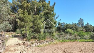Terreno de 1640 m² em Castelo Branco