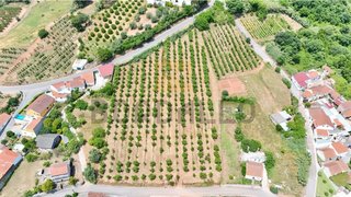 Land for sale in Caldas da Rainha, Portugal — €125,000