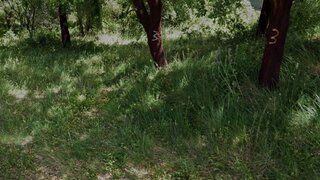 Land for sale in Tomar, Portugal — €25,000