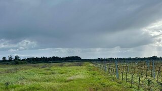 Land for sale in Almeirim, Portugal — €28,000