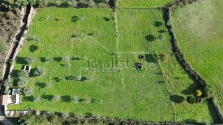 Terreno de 4750 m² em Castelo Branco