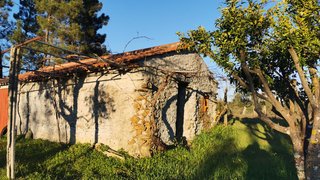Terreno de 22 400 m² em Castelo Branco