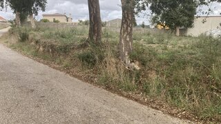 Terreno em Leiria · 608 m² · 36 000 €