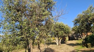 Land for sale in Covilhã, Portugal — €25,000