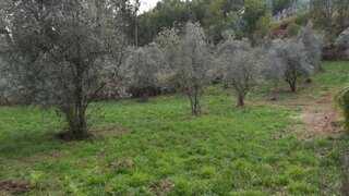 Land for sale in Pedrógão Grande, Portugal — €25,000