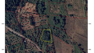 Land for sale in Ferreira do Zêzere, Portugal — €10,000
