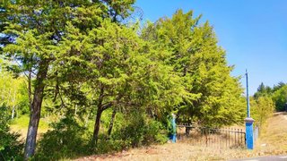 Land for sale in Alcanena, Portugal — €75,000